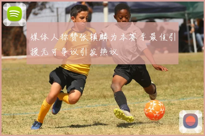 媒体人称赞张镇麟为本赛季最佳引援无可争议引发热议